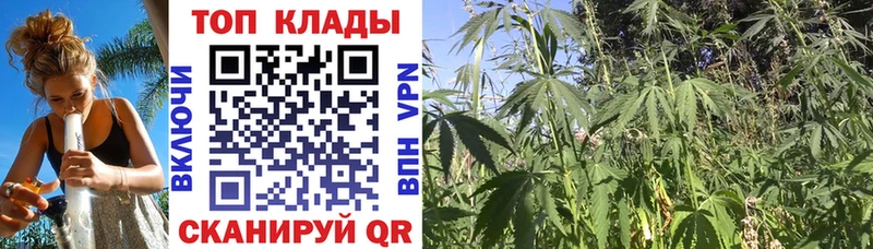 Наркотические вещества Горно-Алтайск Марихуана МЕФ A-PVP Codein ГАШ