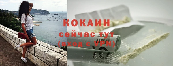 шишки Богородицк