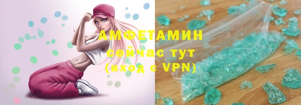 шишки Богородицк