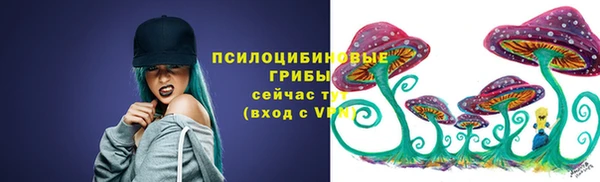 дживик Беломорск