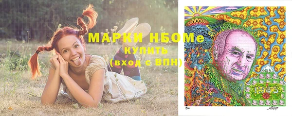 шишки Богородицк