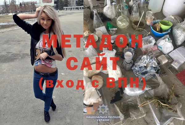прущие грибы Белокуриха