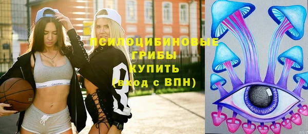 прущие грибы Белокуриха
