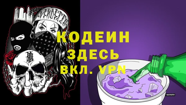 прущие грибы Белокуриха
