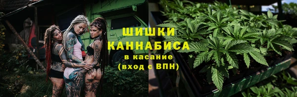 дживик Беломорск