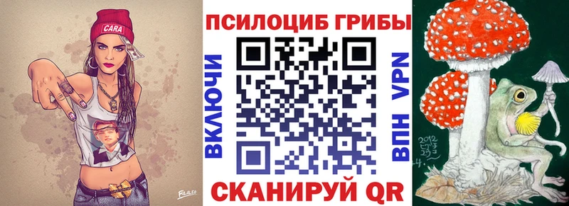 Псилоцибиновые грибы прущие грибы  blacksprut зеркало  Горно-Алтайск 