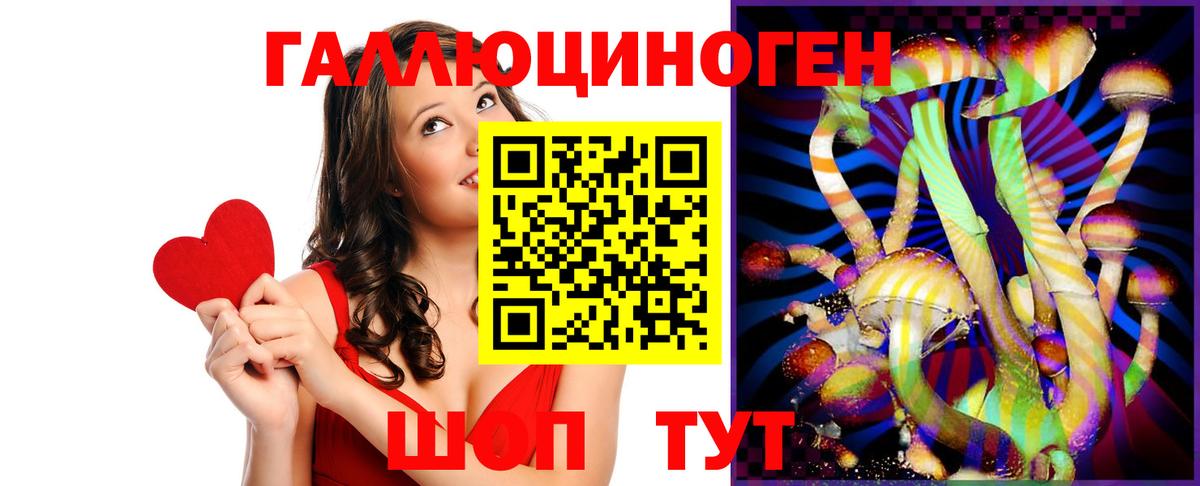 Горно-Алтайск  Галлюциногенные грибы Psilocybe  Вход с VPN 